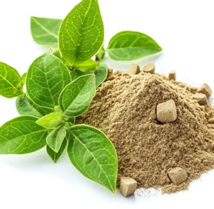 Green leaves beside a pile of brown plant powder, brand image shown for the gymnema page